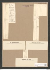 Synedra affinis var. tabulata (Ag.) V. H. (de-Toni-Nr.: Genus 66, Species 2607) Zeichnungen Sammlung Grunow Nr. 5347 (NHMW-BOT-W0373751)